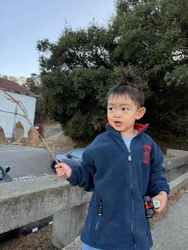 Everest outside in a blue fleece, holding a long branch in one hand and a toy truck in the other