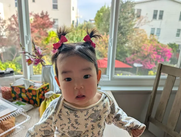 Maggie with two little pigtails, sitting by a bright window with flowers behind her